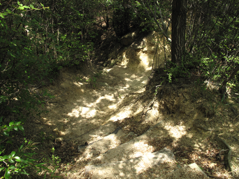 20140602hike (75)